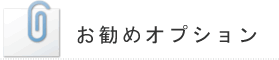 お勧めオプション