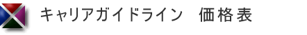 キャリアガイドライン